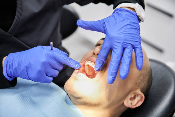 Best Chipped Tooth Repair Near Me  in North Pekin, IL